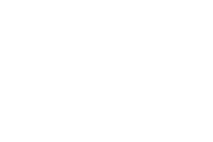 SalesCamp